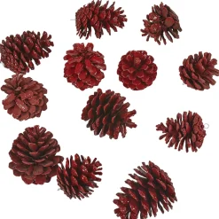 Pomme de pin rouge X12