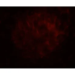 Projecteur LED effet vague Luminight couleurs changeantes