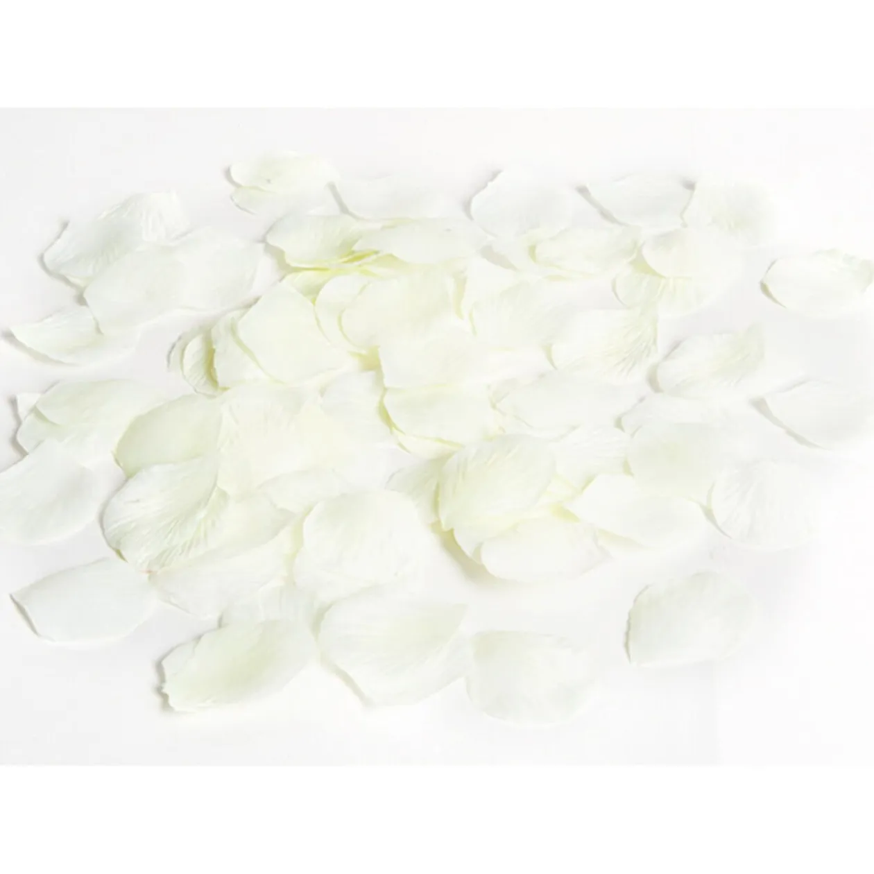 Pétale de rose ivoire x120