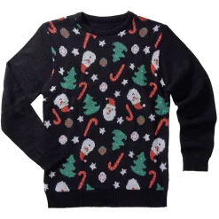 Pull de Noël adulte
