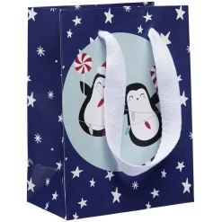 Sac cadeau Noël enfant L10,8x14,6 cm