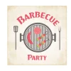 Serviette en papier barbecue party x20
