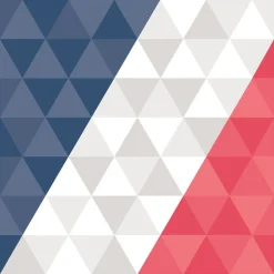 Serviette en papier tricolore supporter France x20