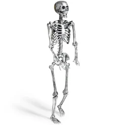 Squelette articulé Halloween H150cm plastique argenté