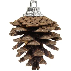 Suspension boule de Noël x5 et pomme de pin x5