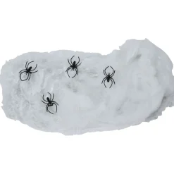 Toile blanche avec 4 araignées