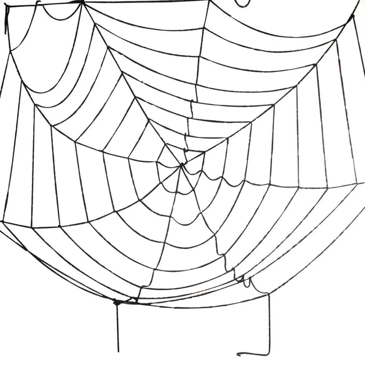 Toile d araignée noire